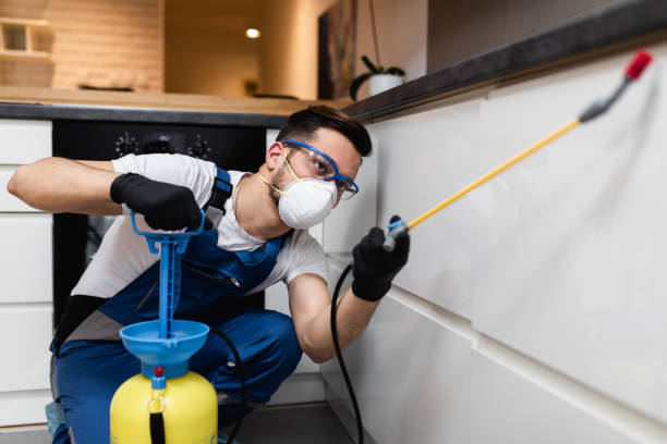 Best Pest Removal Services  in Superior, AZ