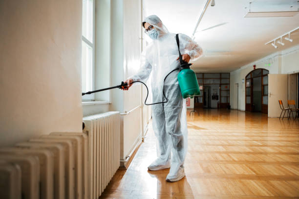 Best Termite Control Services  in Superior, AZ